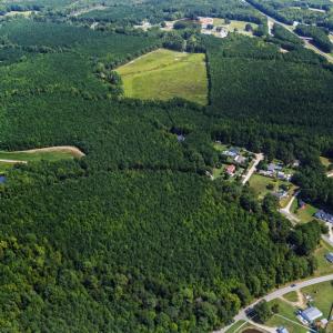 Photo #8 of Thomas Arnold, Zebulon, NC 58.7 acres