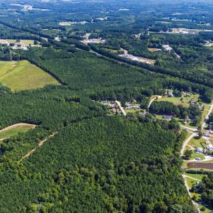 Photo #14 of Thomas Arnold, Zebulon, NC 58.7 acres