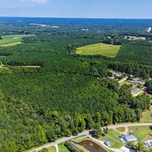 Photo #18 of Thomas Arnold, Zebulon, NC 58.7 acres