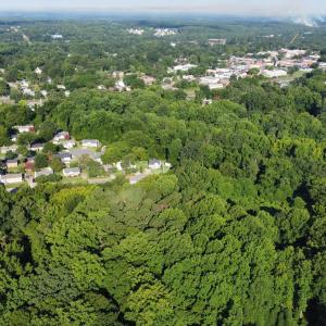 Photo #16 of 210 Central, Clayton, NC 7.1 acres