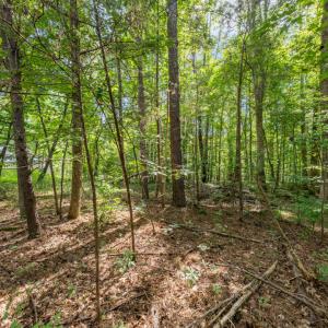 Photo #1 of 1556 Dogwood, Oxford, NC 2.5 acres