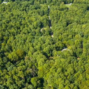 Photo #2 of 1556 Dogwood, Oxford, NC 2.5 acres