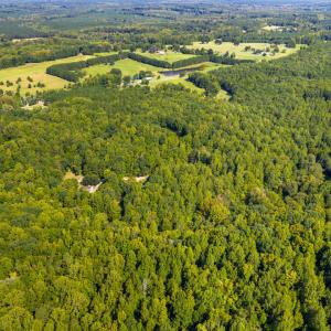 Photo #9 of 1556 Dogwood, Oxford, NC 2.5 acres