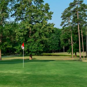 Photo #74 of 1567 Sagamore, Louisburg, NC 0.3 acres
