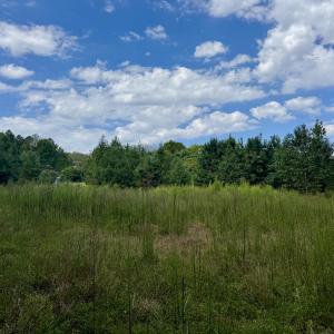 Photo #12 of 5987 Nc-39, Henderson, NC 73.7 acres