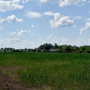 Photo #14 of 5987 Nc-39, Henderson, NC 73.7 acres