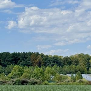 Photo #15 of 5987 Nc-39, Henderson, NC 73.7 acres