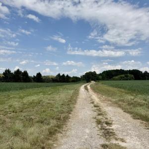 Photo #2 of 5987 Nc-39, Henderson, NC 73.7 acres