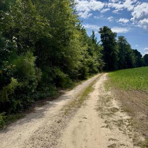 Photo #13 of 5987 Nc-39, Henderson, NC 73.7 acres