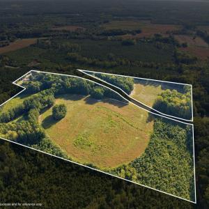 Photo #1 of Julie Mcknight, Kittrell, NC 41.1 acres
