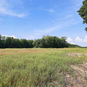 Photo #7 of Julie Mcknight, Kittrell, NC 41.1 acres