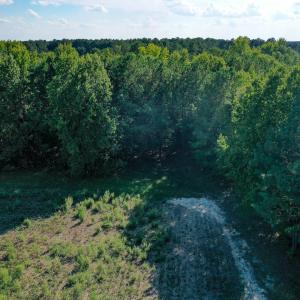Photo #9 of 9.47 Acres Us 401, Youngsville, NC 9.5 acres