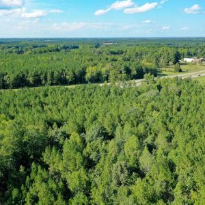 Photo #7 of 9.47 Acres Us 401, Youngsville, NC 9.5 acres