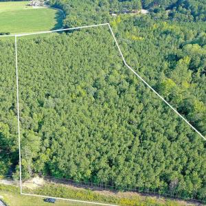 Photo #4 of 9.47 Acres Us 401, Youngsville, NC 9.5 acres