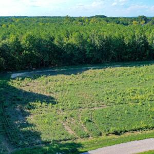 Photo #8 of 9.47 Acres Us 401, Youngsville, NC 9.5 acres