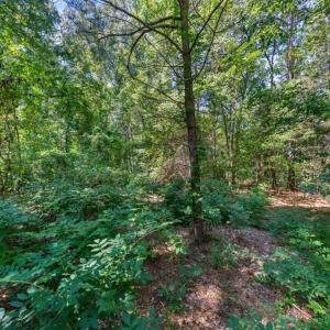 Photo #13 of 1028 Lynn, Durham, NC 7.5 acres