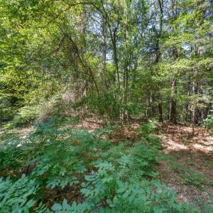 Photo #14 of 1028 Lynn, Durham, NC 7.5 acres
