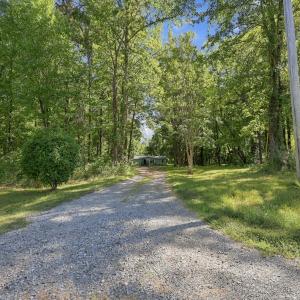 Photo #3 of 392 Lonnie Fields, Bear Creek, NC 5.0 acres