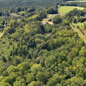 Photo #5 of 392 Lonnie Fields, Bear Creek, NC 5.0 acres
