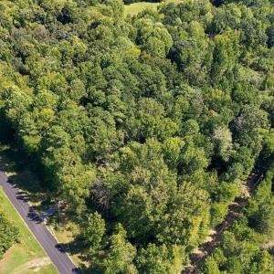 Photo #4 of 392 Lonnie Fields, Bear Creek, NC 5.0 acres