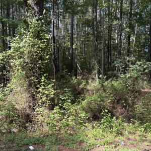 Photo #2 of Carver School, Henderson, NC 12.4 acres