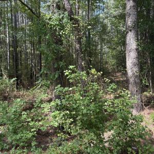 Photo #5 of Carver School, Henderson, NC 12.4 acres