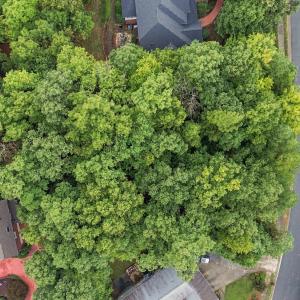 Photo #3 of 4105 Sweeten Creek, Chapel Hill, NC 0.5 acres