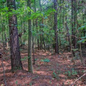 Photo #3 of Rumley, Graham, NC 19.7 acres