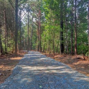 Photo #1 of Rumley, Graham, NC 19.7 acres