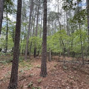 Photo #17 of Elfman, Spring Lake, NC 0.5 acres