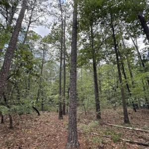 Photo #5 of Elfman, Spring Lake, NC 0.5 acres