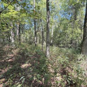 Photo #40 of Elfman, Spring Lake, NC 0.5 acres