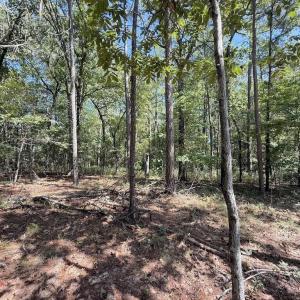Photo #37 of Elfman, Spring Lake, NC 0.5 acres