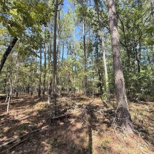 Photo #27 of Elfman, Spring Lake, NC 0.5 acres