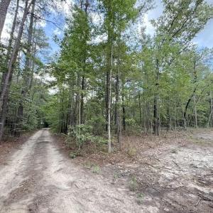 Photo #3 of Elfman, Spring Lake, NC 0.5 acres