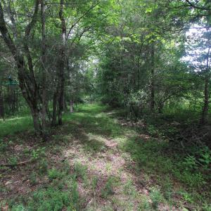 Photo #17 of 4220 Carolina 14, Reidsville, NC 16.4 acres