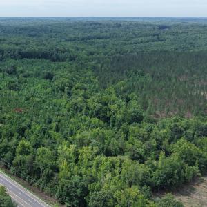 Photo #5 of 4220 Carolina 14, Reidsville, NC 16.4 acres