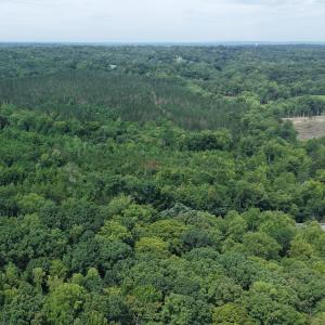 Photo #7 of 4220 Carolina 14, Reidsville, NC 16.4 acres