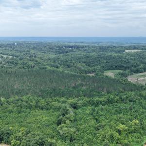 Photo #1 of 4220 Carolina 14, Reidsville, NC 16.4 acres