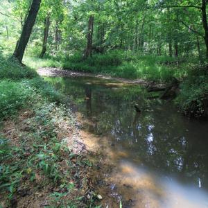 Photo #18 of 4220 Carolina 14, Reidsville, NC 16.4 acres