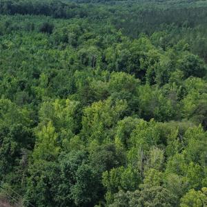 Photo #6 of 4220 Carolina 14, Reidsville, NC 16.4 acres