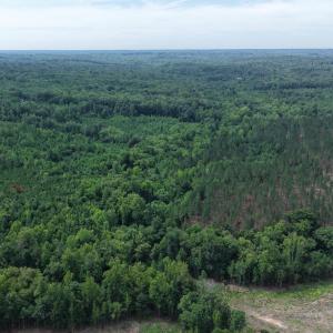 Photo #8 of 4220 Carolina 14, Reidsville, NC 16.4 acres