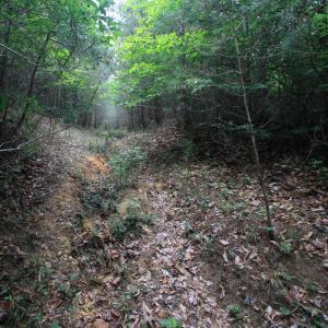 Photo #13 of 4220 Carolina 14, Reidsville, NC 16.4 acres