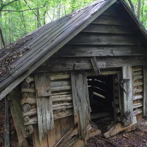 Photo #12 of 4220 Carolina 14, Reidsville, NC 16.4 acres