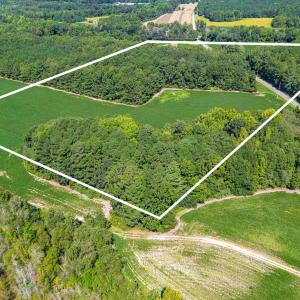 Photo #3 of 2050 Clark, Lillington, NC 34.4 acres