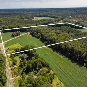 Photo #7 of 2050 Clark, Lillington, NC 34.4 acres
