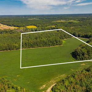 Photo #10 of 2050 Clark, Lillington, NC 34.4 acres