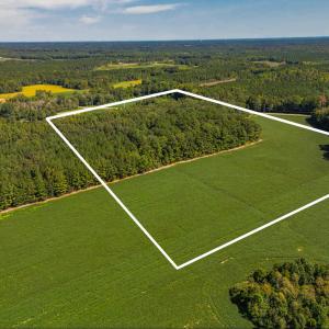 Photo #9 of 2050 Clark, Lillington, NC 34.4 acres