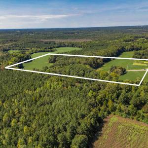 Photo #4 of 2050 Clark, Lillington, NC 34.4 acres
