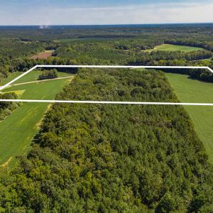 Photo #8 of 2050 Clark, Lillington, NC 34.4 acres